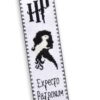 Counted Cross Stitch Kit of Bookmark "Hermione's Patronus"