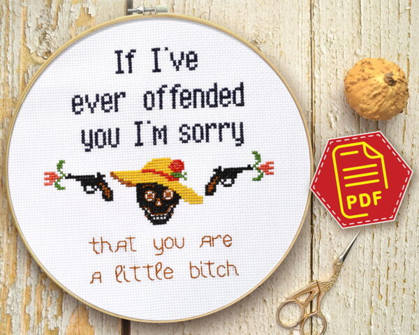 Counted cross stitch pattern - If I’ve ever offended you I’m sorry