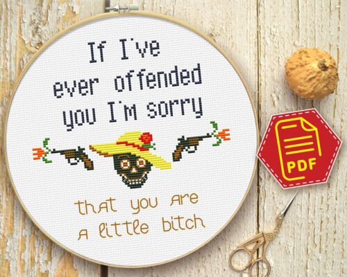 Quote Cross Stitch Pattern "If I've ever offended you I'm sorry - That you are a little bitch"