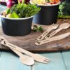 Disposable Wooden Cutlery Set "Jurassic Forks"