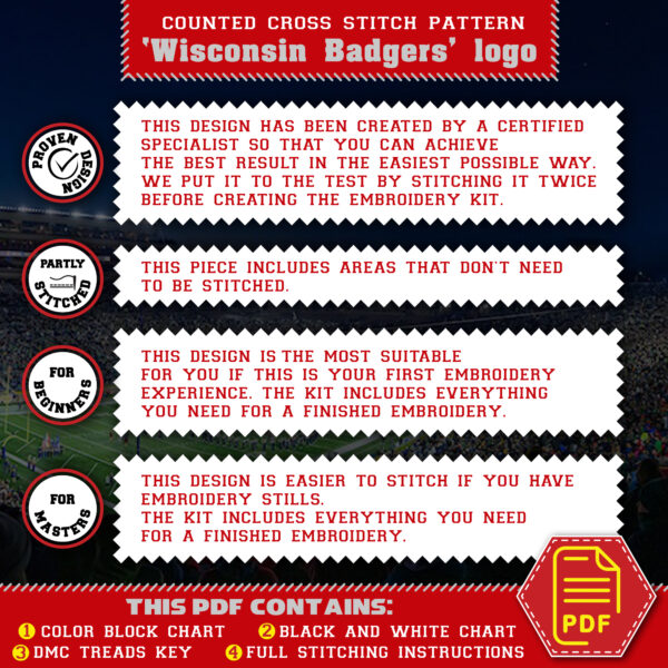 Wisconsin Badgers logo counted cross stitch pattern advantages - 05