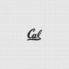California Golden Bears Logo Counted Cross Stitch Pattern - Download in PDF