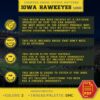 Iowa Hawkeyes Logo Counted Cross Stitch Pattern - Download in PDF
